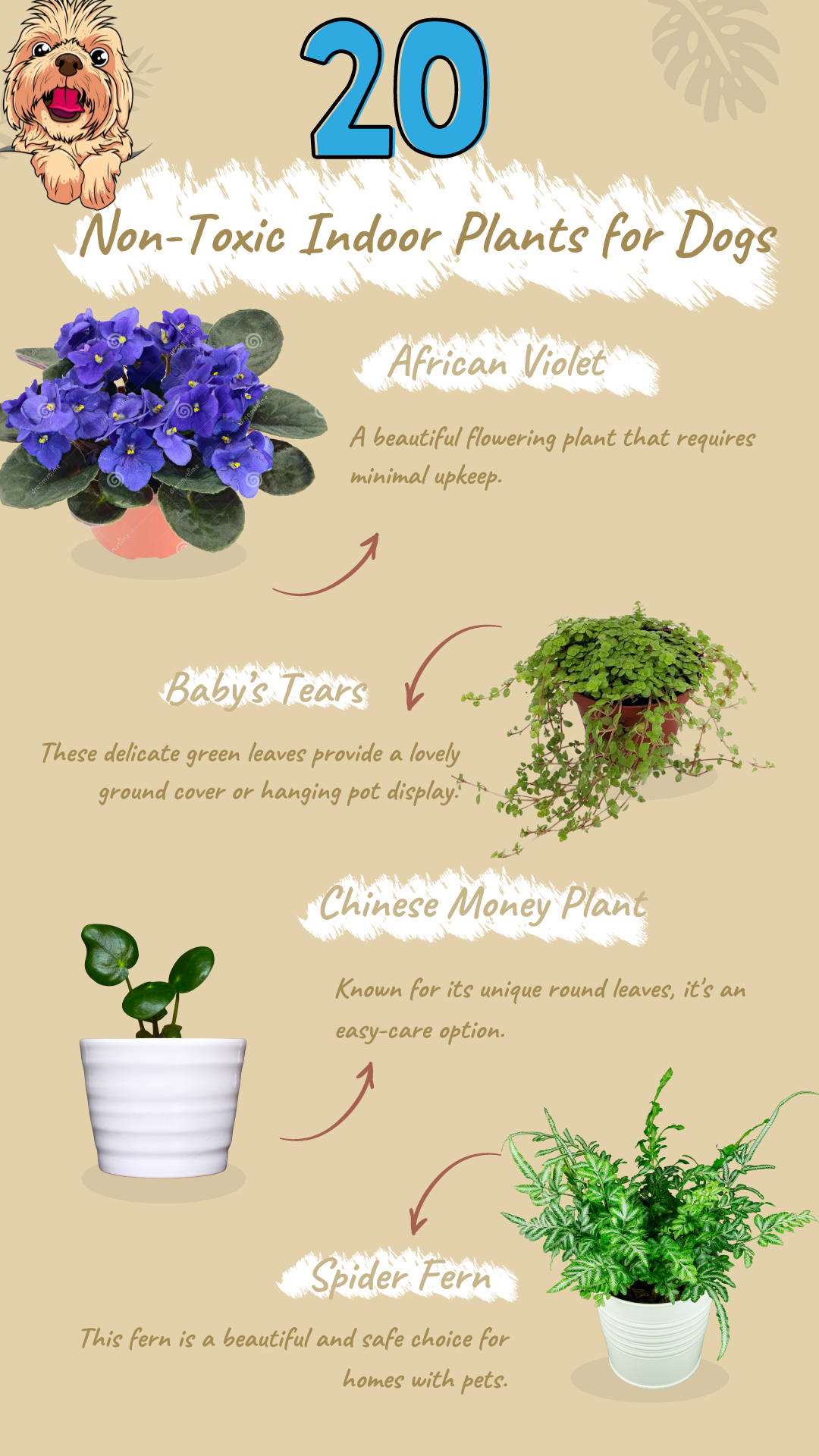 20 NonToxic Indoor Plants For Dogs in Malaysia